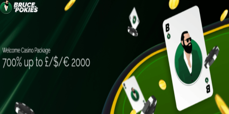 Unveiling the Thrilling World of Online Casino Bruce Pokies